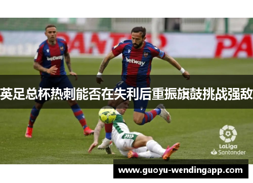 英足总杯热刺能否在失利后重振旗鼓挑战强敌