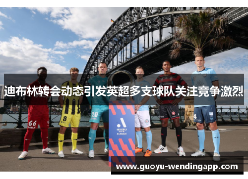 迪布林转会动态引发英超多支球队关注竞争激烈