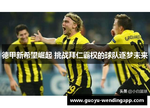 德甲新希望崛起 挑战拜仁霸权的球队逐梦未来