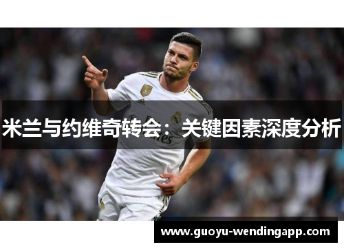 米兰与约维奇转会：关键因素深度分析